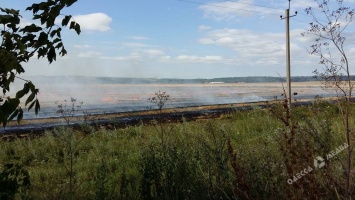 Поля в Одесской области охватил огонь (фото)