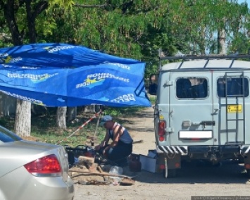 Крым курортый: на что пошли знамена партии Януковича (ФОТО)