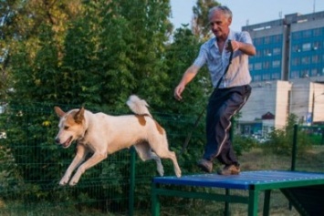 В Харькове открыли новую площадку для тренировки собак