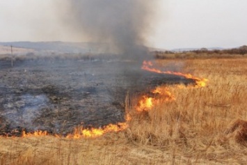 С начала июля в Макеевке случилось полсотни пожаров на открытой территории