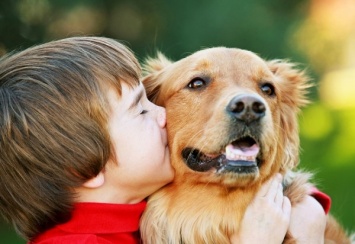 Учные: Собаки испытывают счастье, находясь рядом с хозяином