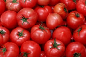 В Днепре помидоры подорожали на "десятку": когда подешевеют и в чем причина?