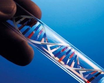 Ученые: Одни и те же гены связаны с разными качествами человека