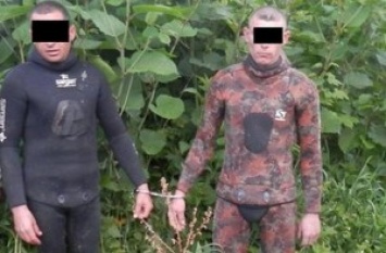 На Киевщине начали платить людям по тысяче гривень за каждого пойманного бандита