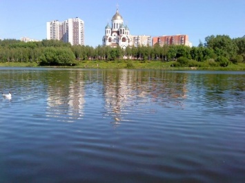 МСЧ ввело режим экологического ЧП из-за сливов мазуты в водоем в Москве