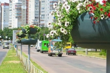 Висящие клумбы, как на Рокоссовского, в ближайшее время появятся еще в трех районах Чернигова