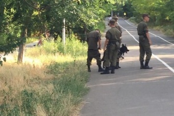 В Одессе на Трассе здоровья нацгвардейцы показывали трусы и грозились арестовать свидетелей (ФОТО)