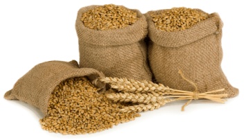 В Запорожском регионе собрали более 2 миллионов тонн зерна нового урожая