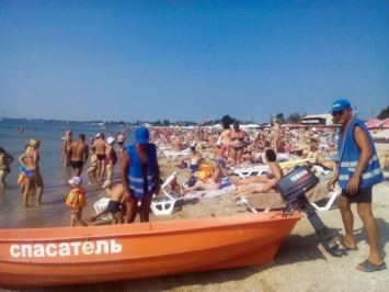 Собака чуть не утопила хозяина на «Собачьем пляже» в Одессе