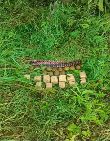 В районе АТО найдены два тайника с боеприпасами и взрывчаткой (фото)
