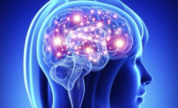 Ученые объяснили возникновение бета-ритмов в мозге