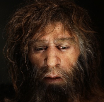 Перед вымиранием численность неандертальцев достигла пика