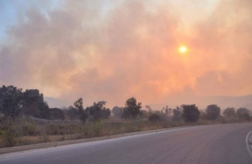 Масштабный лесной пожар охватил греческий остров Хиос
