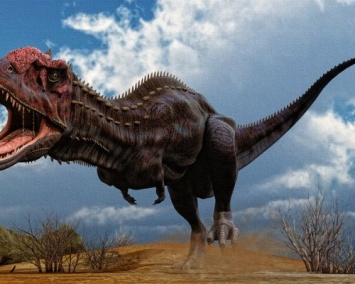 На юге Боливии найден гигантский след динозавра