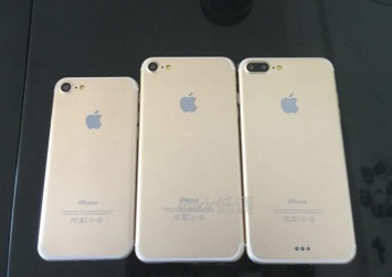 Все три новых iPhone засняли на «семейном фото»