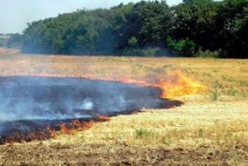 В Покровском (Красноармейском) районе сгорел очередной гектар поля