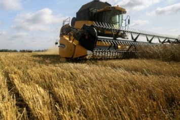 Хлеборобов Кировоградщины поздравили с первым миллионом тонн зерна