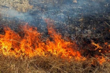 Добропольчанам о вреде выжигания сухой травы