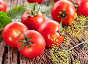 Ученые хотят вывести сорт долгохранящихся томатов