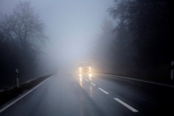 МЧС предупреждает о сильном тумане на дорогах