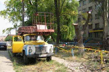 Запорожские коммунальщики убрали дерево, которое рухнуло возле детской площадки