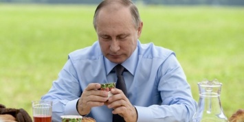 Путин всех перетасовал: все о перестановках 28 июля