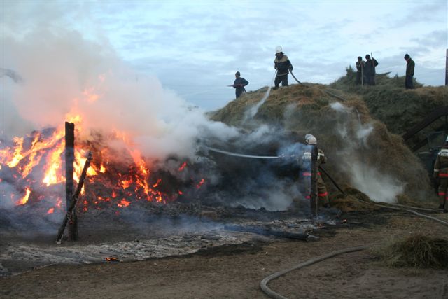 В Запорожской области загорелось 6 тонн сена