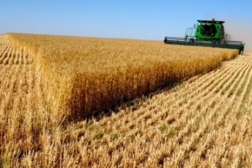 На Херсонщине намолотили уже 1,8 млн тонн зерновых