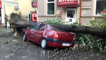 Ураган на Закарпатье повалил деревья и разбил машины