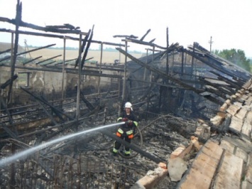Во время ликвидации пожара в свинарнике в Хмельницкой области сгорело 40 свиней