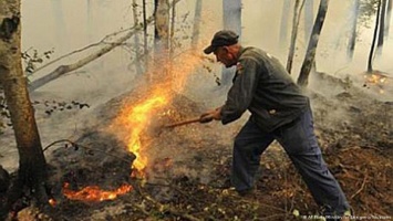 Рослесхоз приобрел для тушения пожаров непригодную технику на 76 млрд рублей