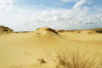Возле природного парка "Олешковские пески" пройдут военные учения