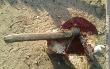 «Кровавый мясник»: мужчина зарубил топором пятерых женщин