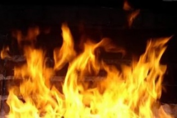 Во время пожара в Мирнограде (Димитрове) погиб человек