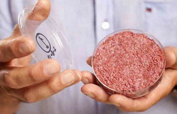 Эксперты: искусственное мясо спасет человечество от голода