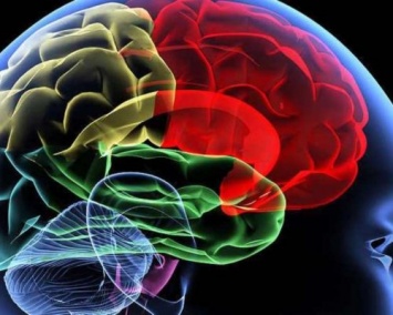 Ученые: Сжатие в части мозга может стать причиной потери памяти