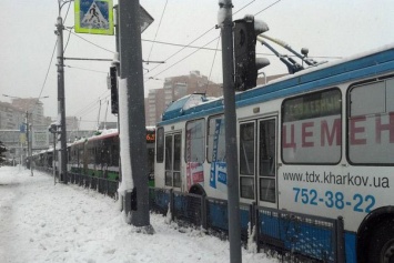 Харьковчане просят меньше рекламы в общественном транспорте