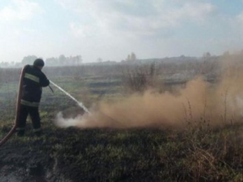 Торфяники продолжают гореть в Черниговской области