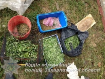 Жительница Закарпатской области "сдала" полиции зятя с 2 килограммами наркотиков