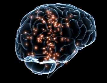 Ученые: Кокаиновая зависимость способна перестраивать работу мозга