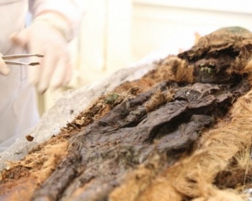 Ученые из России выяснят по мумиям, чем питались древние люди