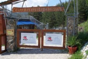 Болгария: Парк танцующих медведей начинает взимать плату за вход