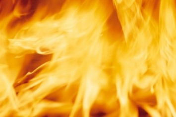 МЧС: пожар в ялтинском заповеднике удалось локализовать