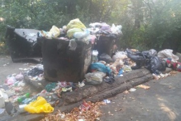 В центре Запорожья возле жилого дома образовалась гора мусора, - ФОТОФАКТ