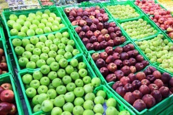Россельхознадзор запретил ввоз фруктов и овощей из Боснии и Герцеговины