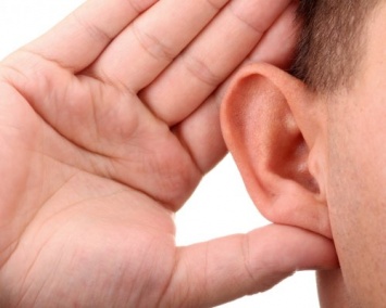 Ученые: Поврежденный слух можно вылечить при помощи белков актиния