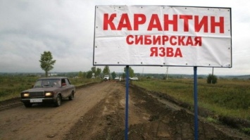 Казахстан запретил ввозить российские продукты из-за сибирской язвы