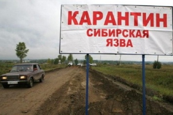 «Гринпис» назвал причину распространения сибирской язвы на Ямале