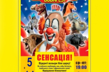 В Полтаву на гастроли приехал венгерский цирк