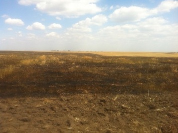 Тернопольчанин получил ожоги во время тушения пожара на ячменном поле